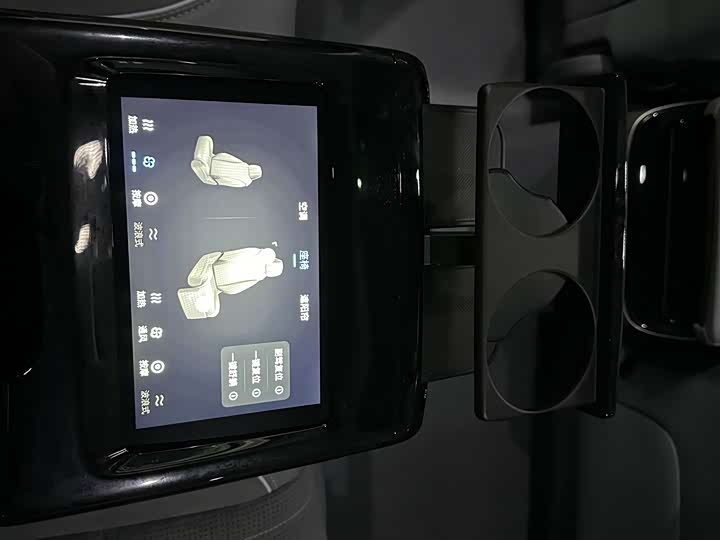 Фото 8 - Voyah Passion