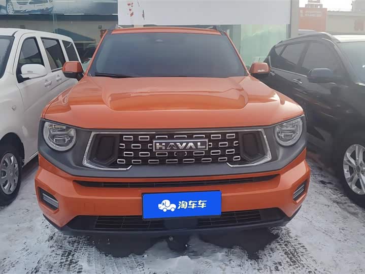 Фото 2 - Haval H-Dog