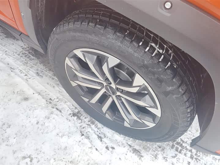 Фото 6 - Haval H-Dog