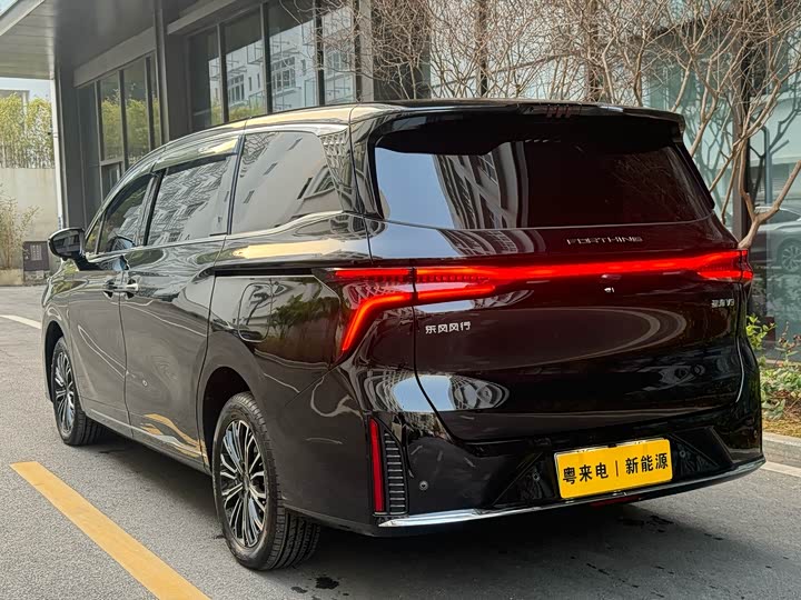 Фото 4 - Dongfeng Forthing Xinghai V9