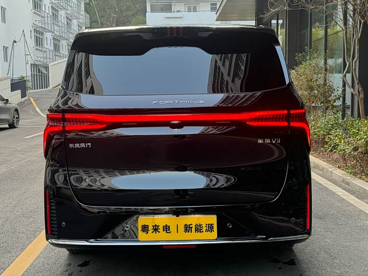 Фото 5 - Dongfeng Forthing Xinghai V9