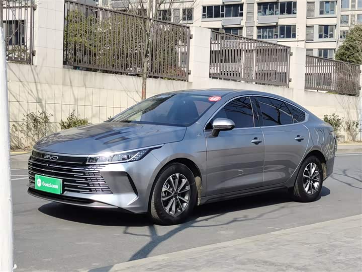 Фото 2 - BYD Destroyer 05