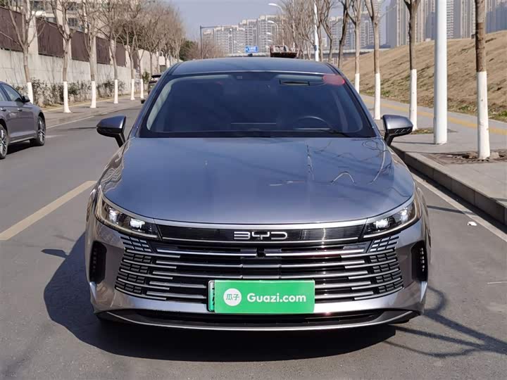 Фото 3 - BYD Destroyer 05