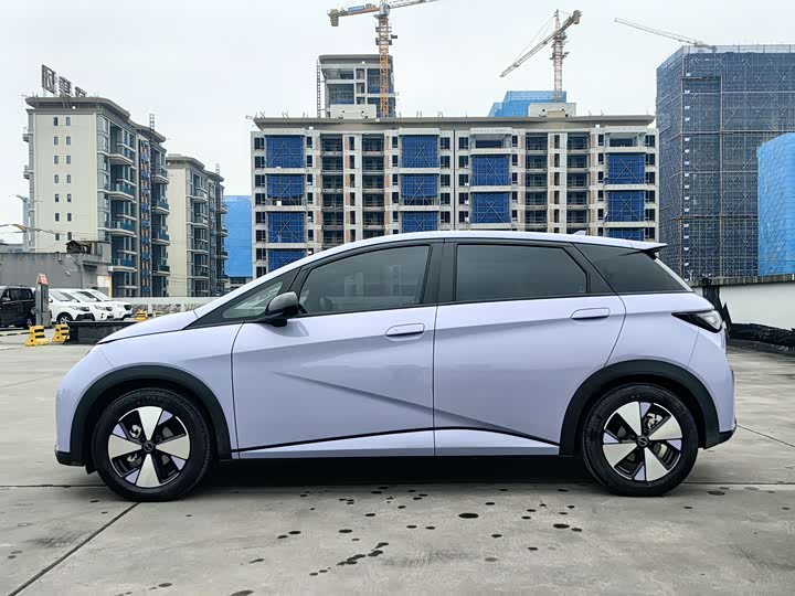 Фото 2 - BYD Dolphin