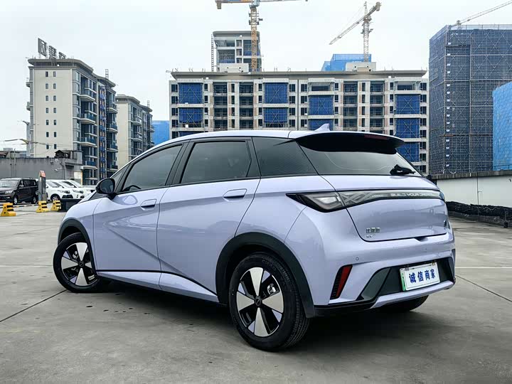 Фото 3 - BYD Dolphin