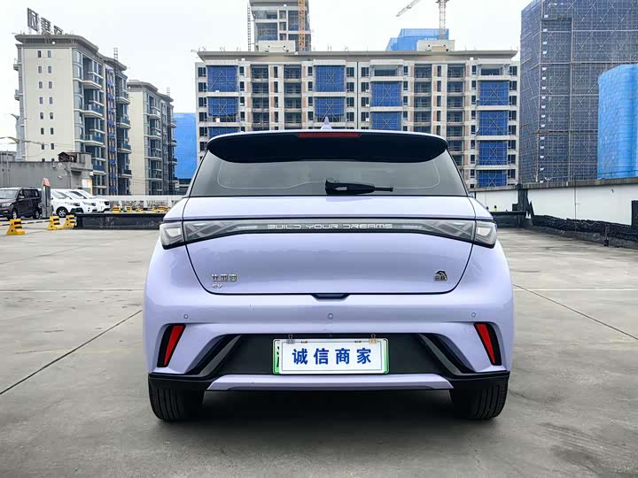 Фото 4 - BYD Dolphin