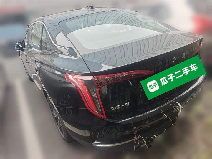 Фото 9 - Hongqi E-QM5