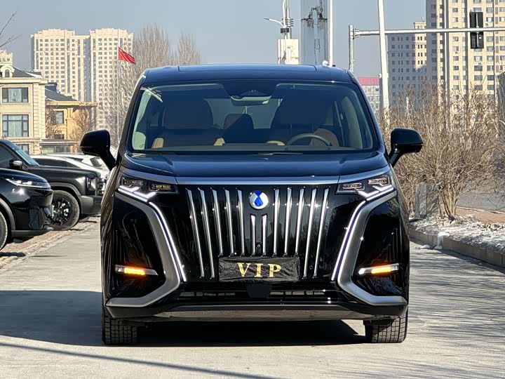 Фото 2 - Denza D9