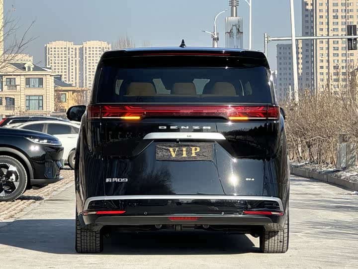 Фото 5 - Denza D9