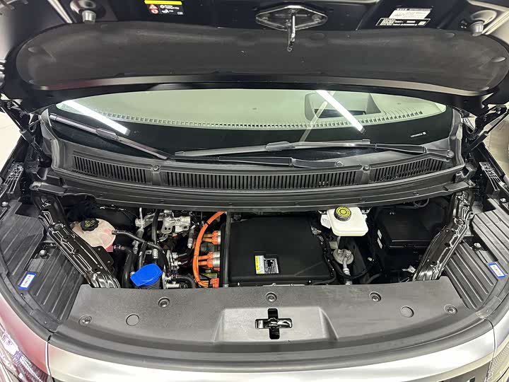 Фото 9 - Denza D9