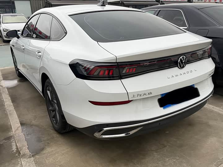 Фото 7 - Volkswagen Lamando L