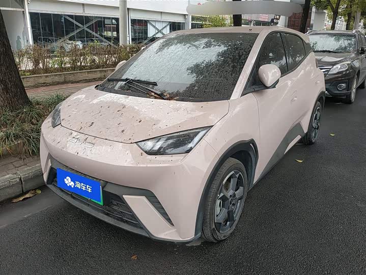 Фото 1 - BYD Seagull