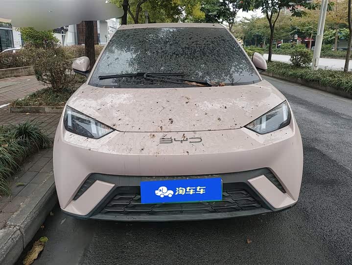 Фото 2 - BYD Seagull