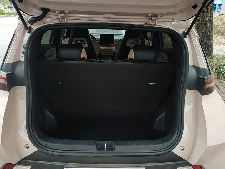 Фото 4 - BYD Seagull