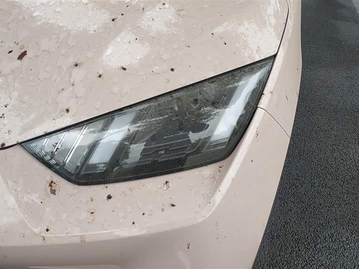 Фото 5 - BYD Seagull