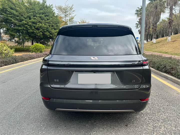 Фото 8 - LiXiang L9