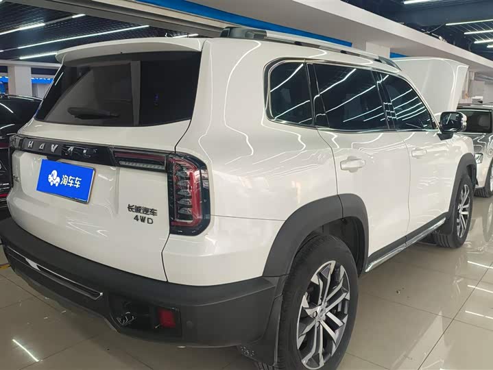 Фото 3 - Haval Dargo