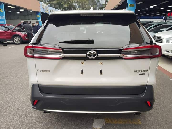 Фото 6 - Toyota Wildlander