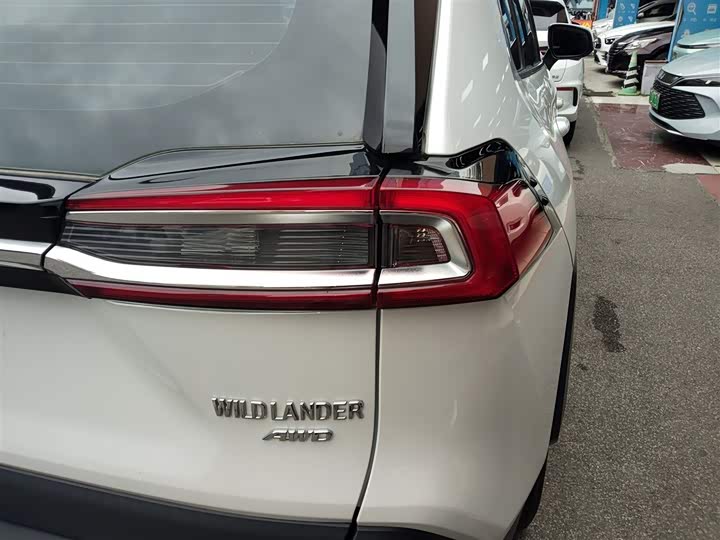 Фото 8 - Toyota Wildlander