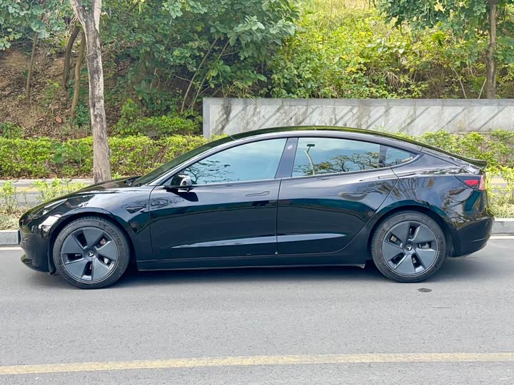 Фото 3 - Tesla Model 3