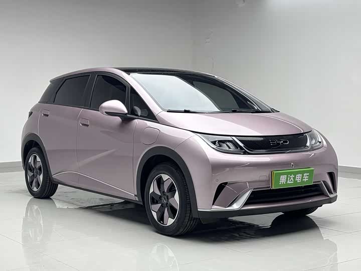 Фото 3 - BYD Dolphin