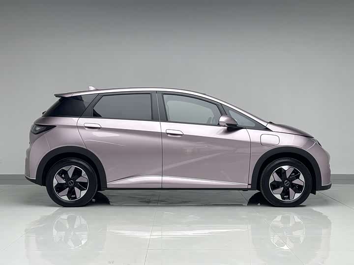 Фото 4 - BYD Dolphin