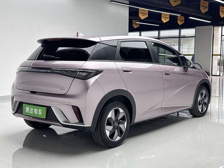 Фото 7 - BYD Dolphin