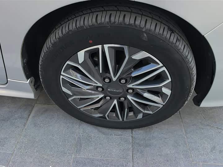 Фото 6 - Maxus G20