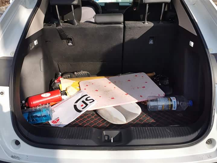 Фото 4 - Honda XR-V