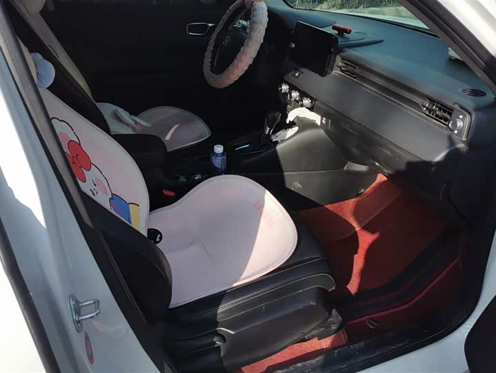 Фото 8 - Honda XR-V