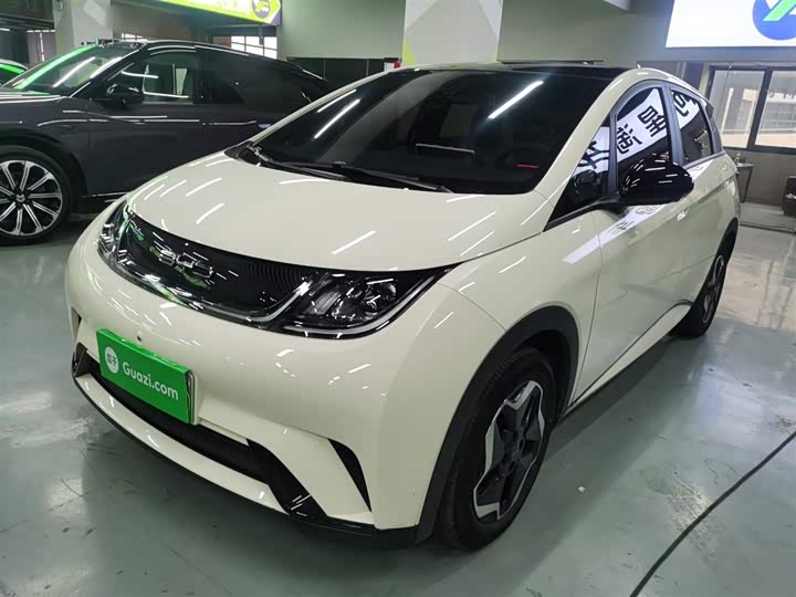 Фото 1 - BYD Dolphin