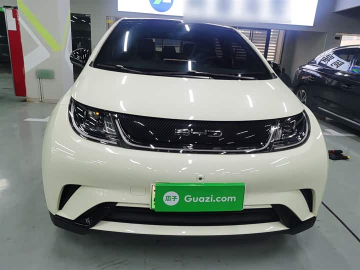 Фото 3 - BYD Dolphin