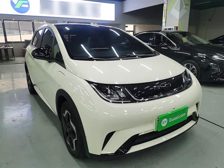 Фото 4 - BYD Dolphin