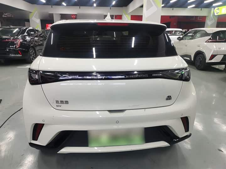 Фото 6 - BYD Dolphin