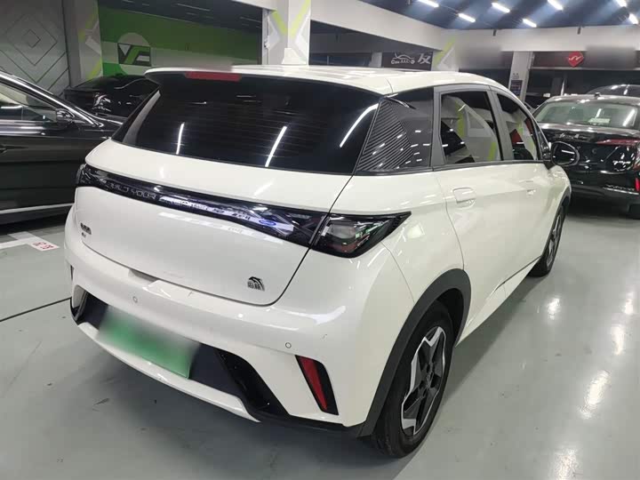 Фото 7 - BYD Dolphin