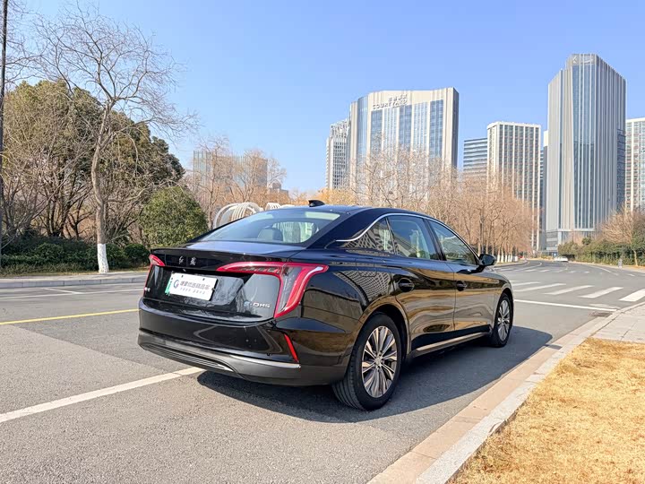 Фото 8 - Hongqi E-QM5