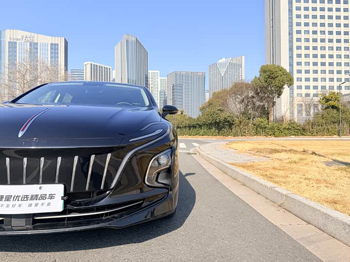 Фото 9 - Hongqi E-QM5