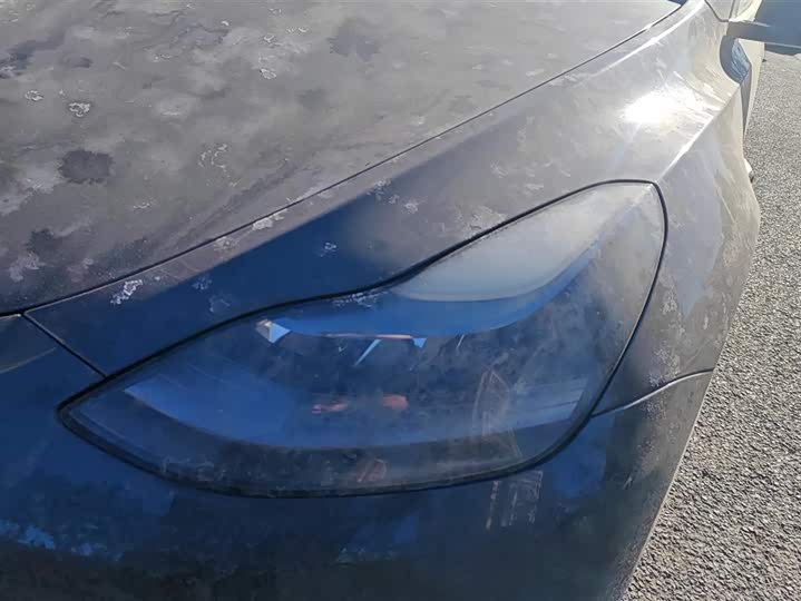 Фото 5 - Tesla Model Y