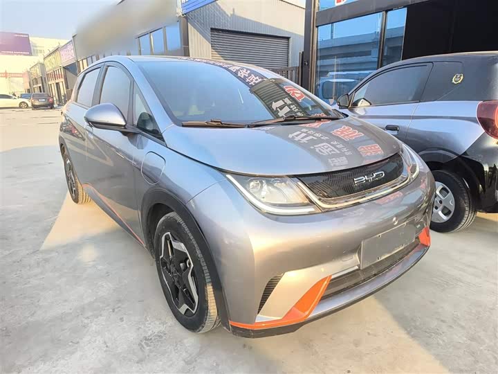 Фото 4 - BYD Dolphin