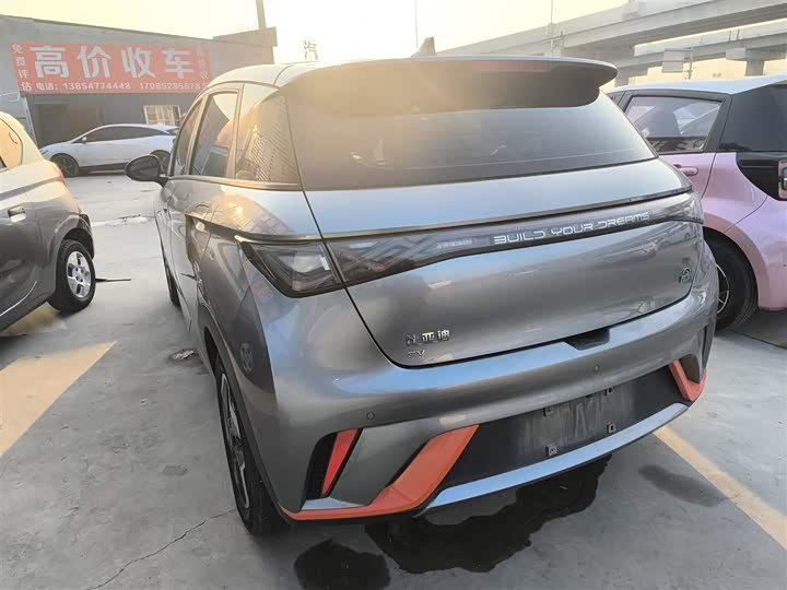 Фото 5 - BYD Dolphin