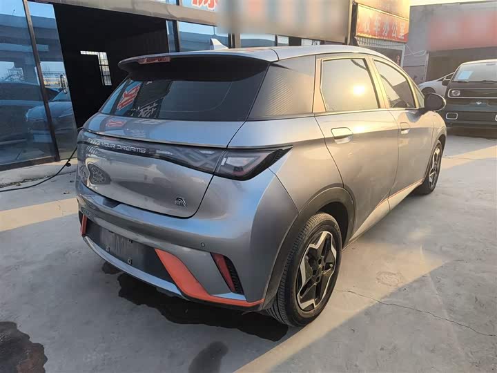 Фото 7 - BYD Dolphin