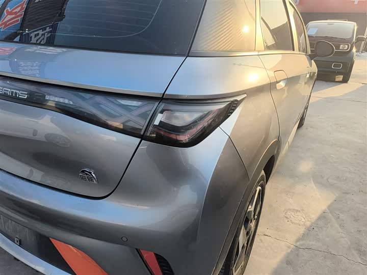 Фото 8 - BYD Dolphin