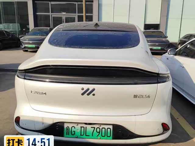 Фото 4 - IM motors LS6