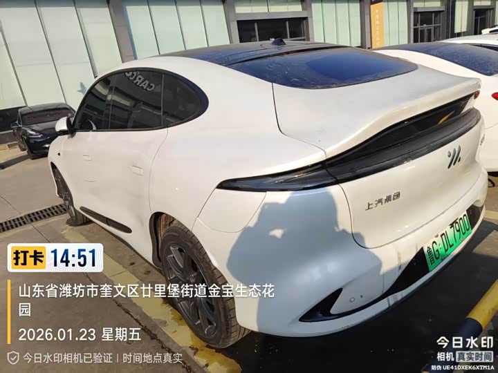 Фото 5 - IM motors LS6