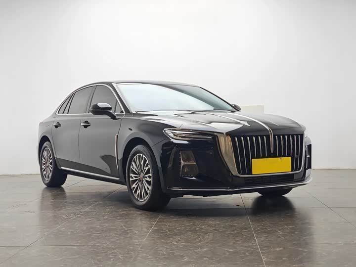 Фото 2 - Hongqi H5