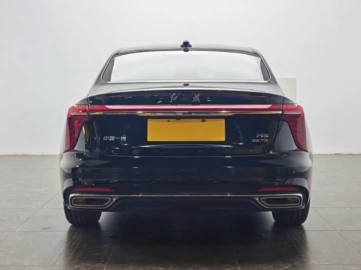 Фото 6 - Hongqi H5