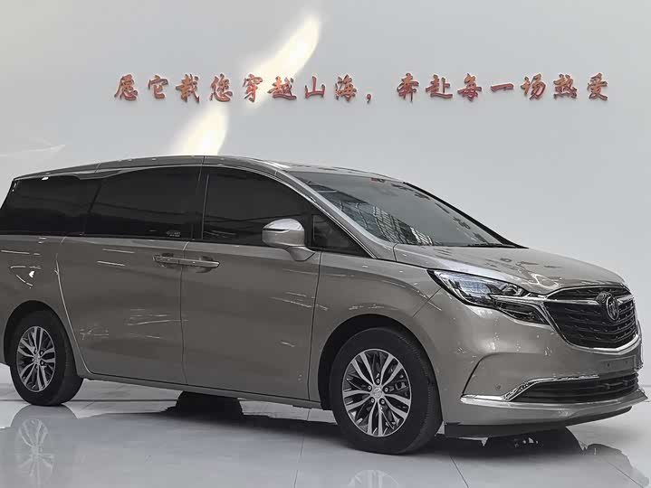 Фото 3 - Buick GL8 ES