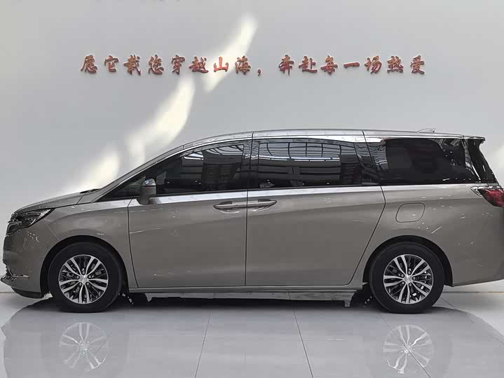 Фото 4 - Buick GL8 ES