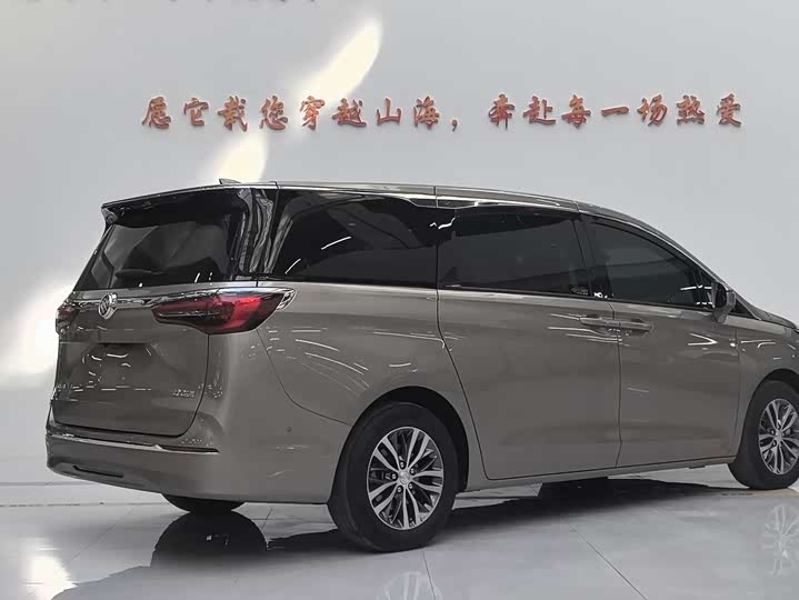 Фото 5 - Buick GL8 ES