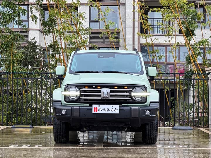 Фото 2 - Tank 300